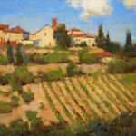 Above the Vineyard