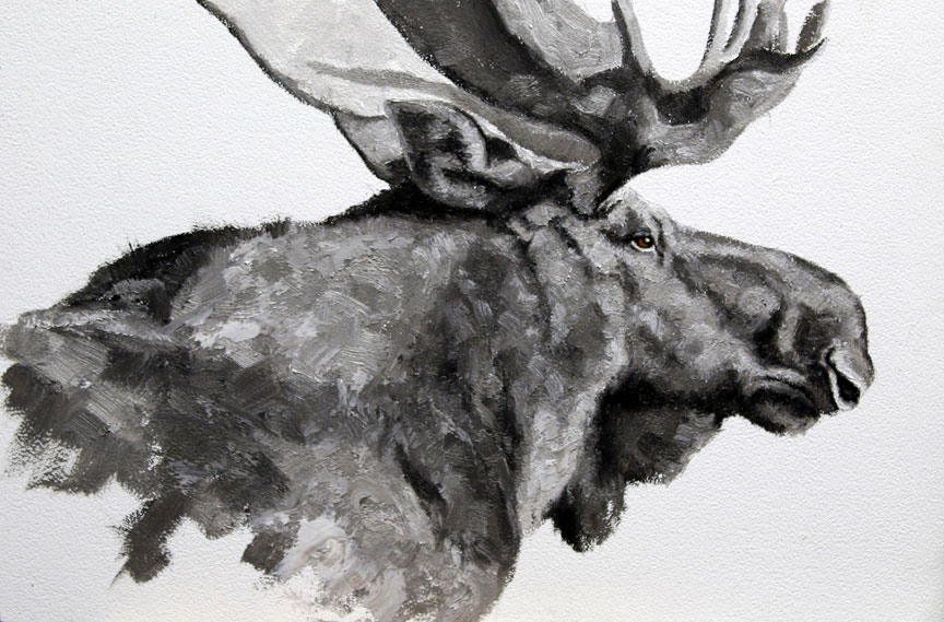 Montgomery-Lee Fine Art | Moose #3